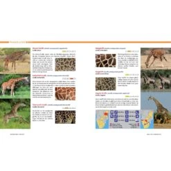 AFRIKA SAFARI REISEFÜHRER - Reiseführer -Freien Sportgeschäft 5637362886 c afrika safari reisefuehrer 24