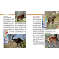 AFRIKA SAFARI REISEFÜHRER - Reiseführer -Freien Sportgeschäft 5637362886 d afrika safari reisefuehrer 24