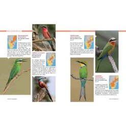 AFRIKA SAFARI REISEFÜHRER - Reiseführer -Freien Sportgeschäft 5637362886 e afrika safari reisefuehrer 24